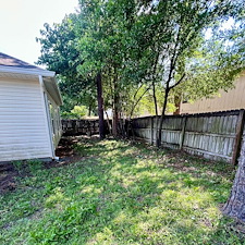 Reclaim-Your-Yard-Professional-Bush-Trimming-Removal 4